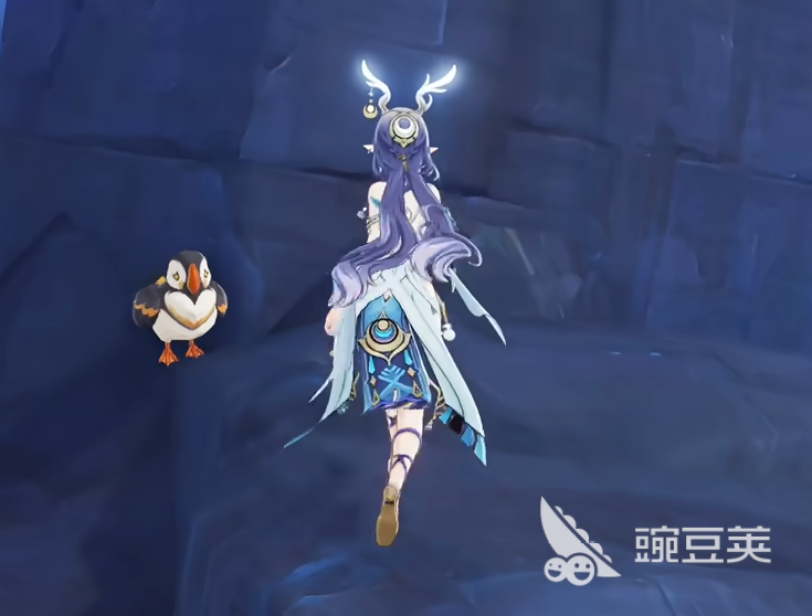 原神菈乌玛配队攻略 原神菈乌玛如何配队
