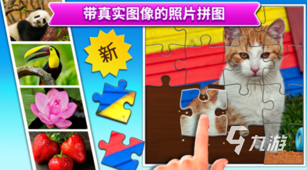 流行的人物拼图游戏下载合集 免费的拼图游戏大全2025