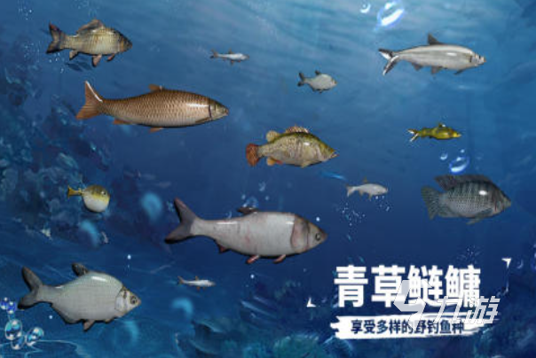 2025有趣的打鱼休闲游戏top5 流行的打鱼游戏分享