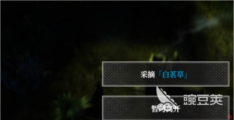 地下城堡4白茗草怎么获得 地下城堡4白茗草获取方法