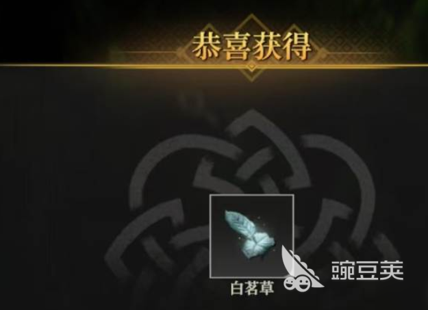 地下城堡4白茗草怎么获得 地下城堡4白茗草获取方法
