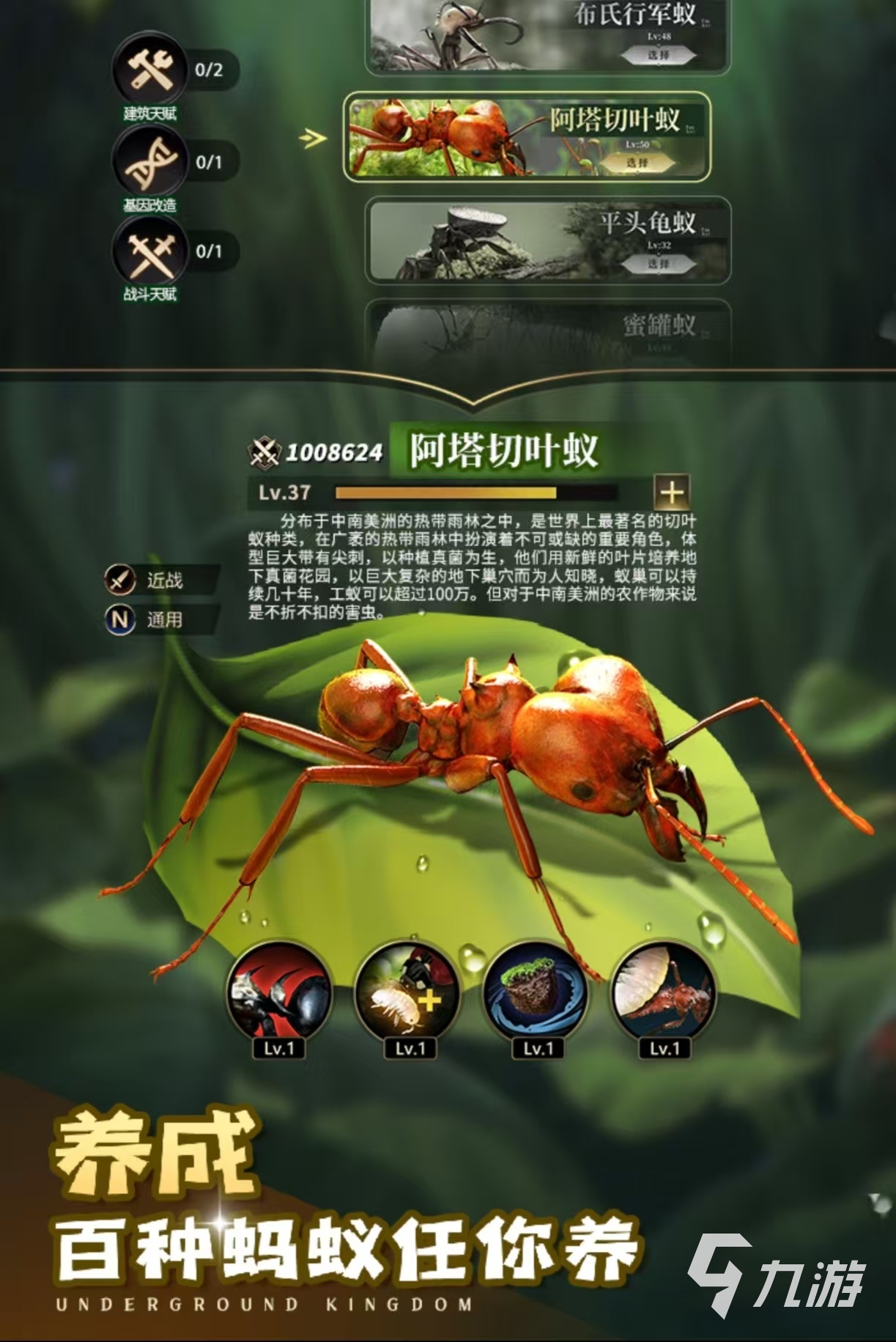 开始是一只虫子进化的游戏是什么 受欢迎的虫子手游推荐2025