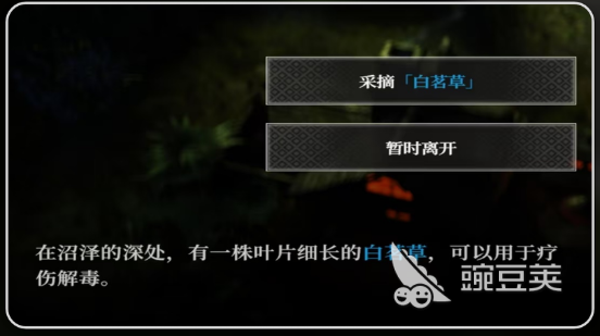 地下城堡4白茗草位置 地下城堡4白茗草获取攻略