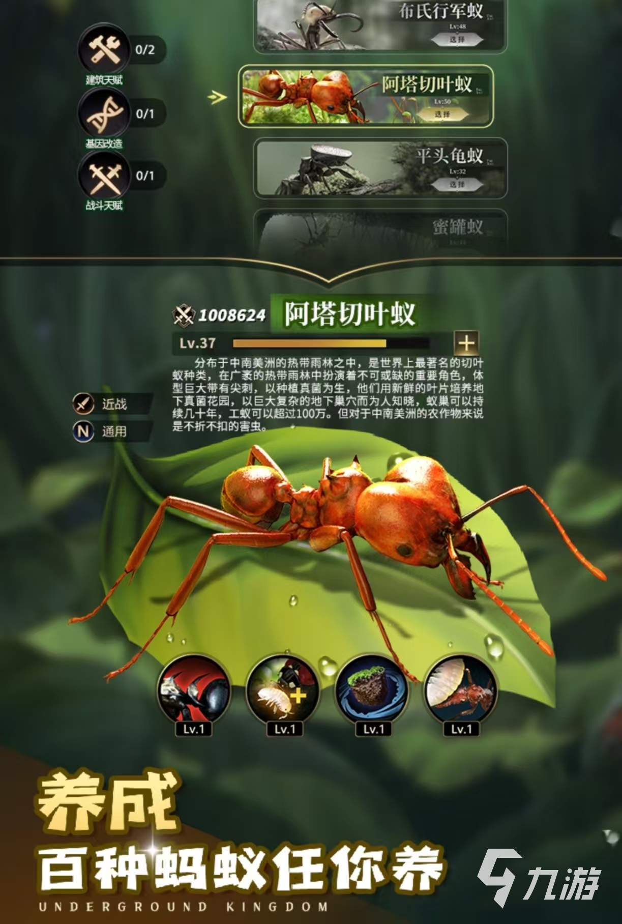 受欢迎的昆虫大乱斗游戏都有什么 值得玩的昆虫手游排行榜2025