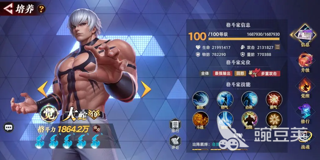 全明星觉醒强攻伙伴有哪些 全明星觉醒强攻角色介绍