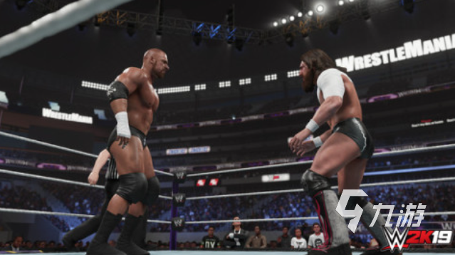 好玩的wwe游戏有哪些 有趣的格斗游戏盘点2025