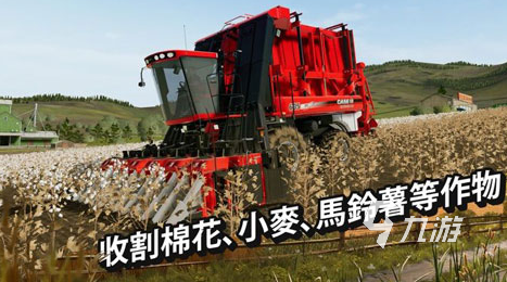 有趣的青菜手游有哪些 2025受欢迎的青菜手游下载