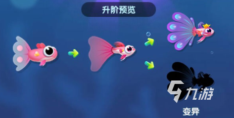 好玩的养鱼游戏去哪里下载 2025有趣的养鱼游戏盘点