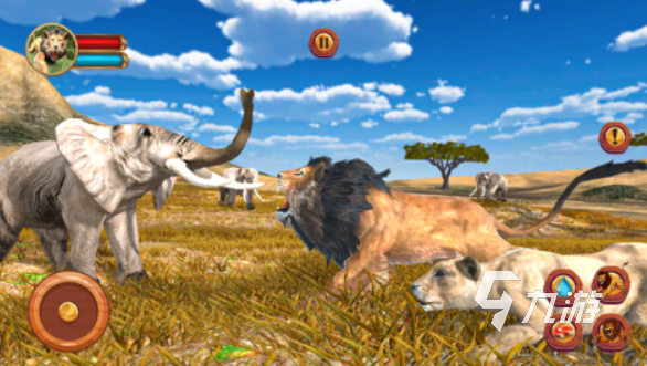 狮子游戏合集 2025狮子模拟手游分享