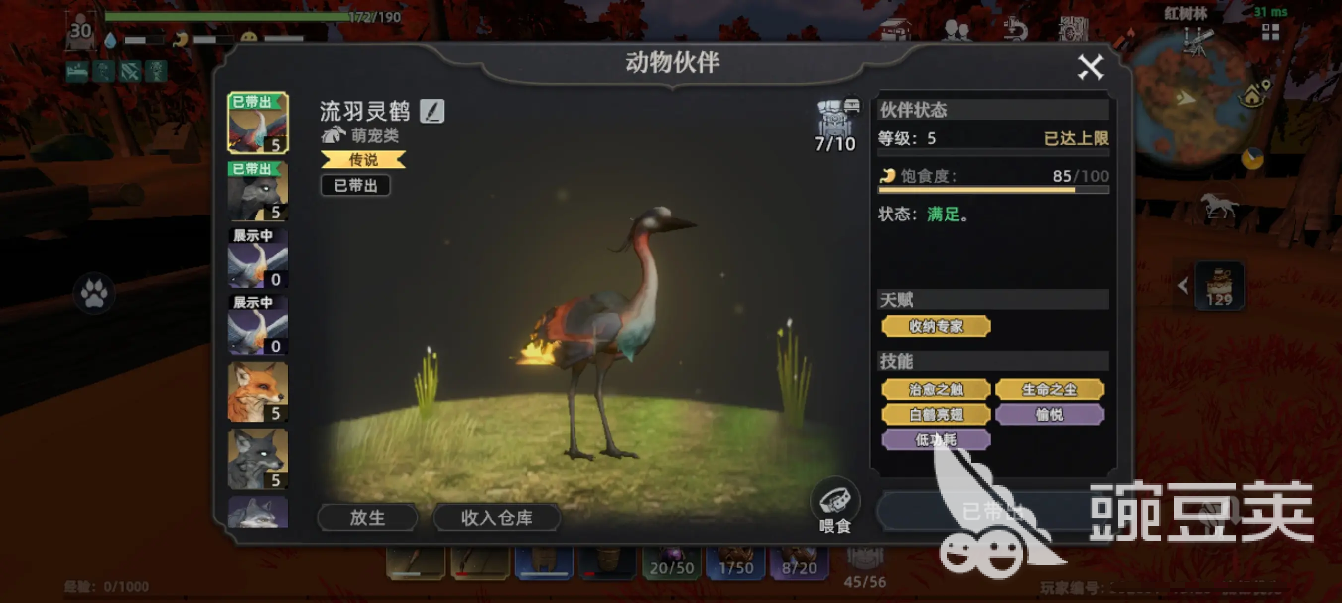荒原曙光寵物系統(tǒng)怎么玩 荒原曙光寵物系統(tǒng)玩法攻略