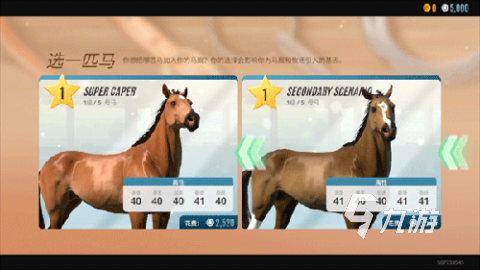 模拟马场游戏排行TOP5 2025趣味模拟马场游戏大全