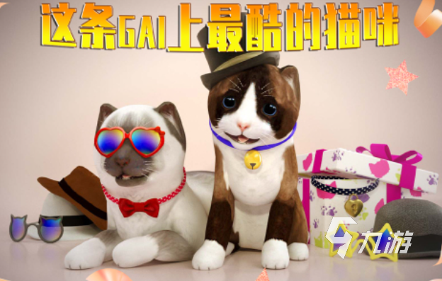 有趣的kt猫游戏下载推荐 好玩的猫咪游戏合集2025
