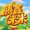腾鑫来米