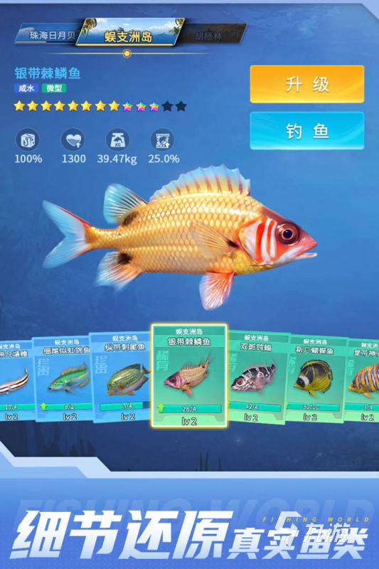 休闲的捕鱼游戏推荐有哪些 2025有趣的捕鱼游戏下载合集