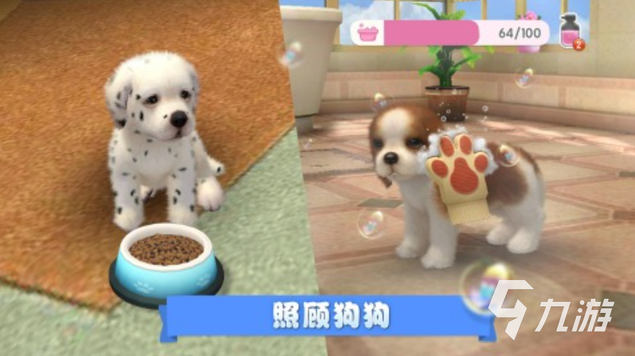 狗喜欢玩的十种游戏合集 2025狗狗喜欢玩的游戏有哪些