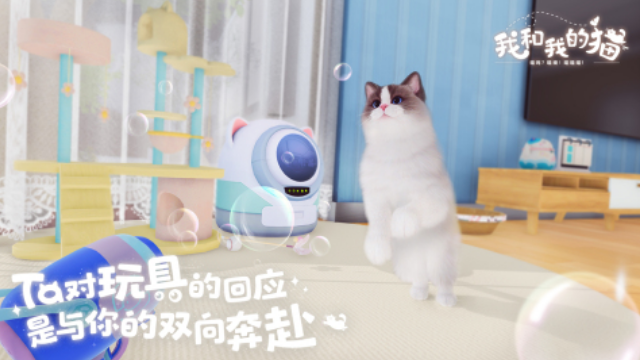 一个屋子里养猫的游戏叫什么 高人气的养猫手游推荐合集2025截图