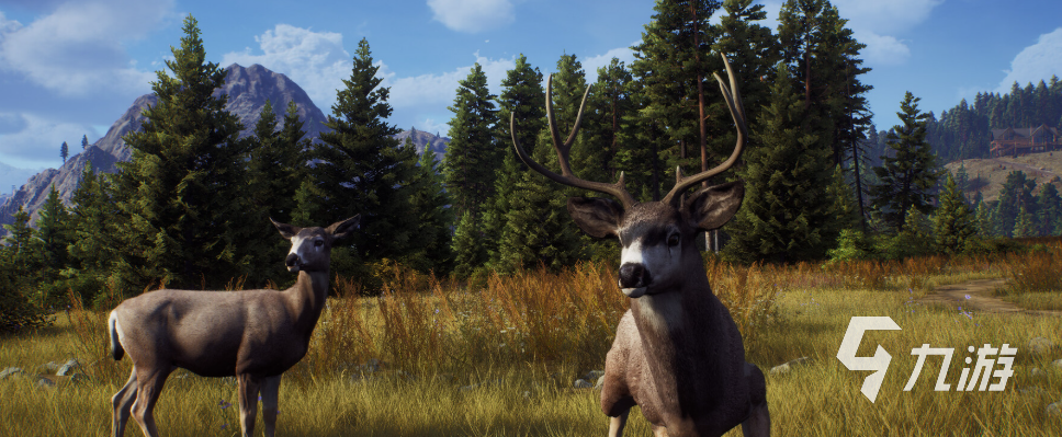 猎人之路正版下载方式 猎人之路怎么下载