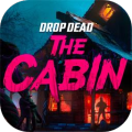 墜落死亡：小屋加速器