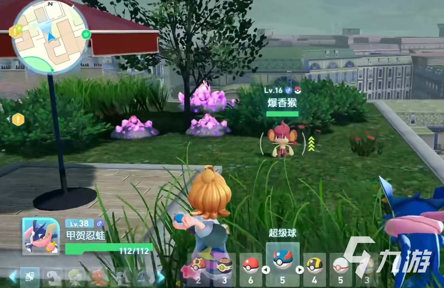 寶可夢傳說Z-A爆香猴實(shí)戰(zhàn)表現(xiàn)與強(qiáng)度全面解析