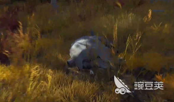 猎人之路野山羊位置在哪 猎人之路野山羊捕捉攻略