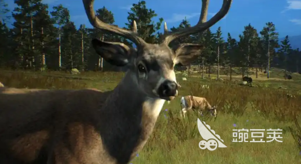 猎人之路有多少种动物 猎人之路动物种类介绍