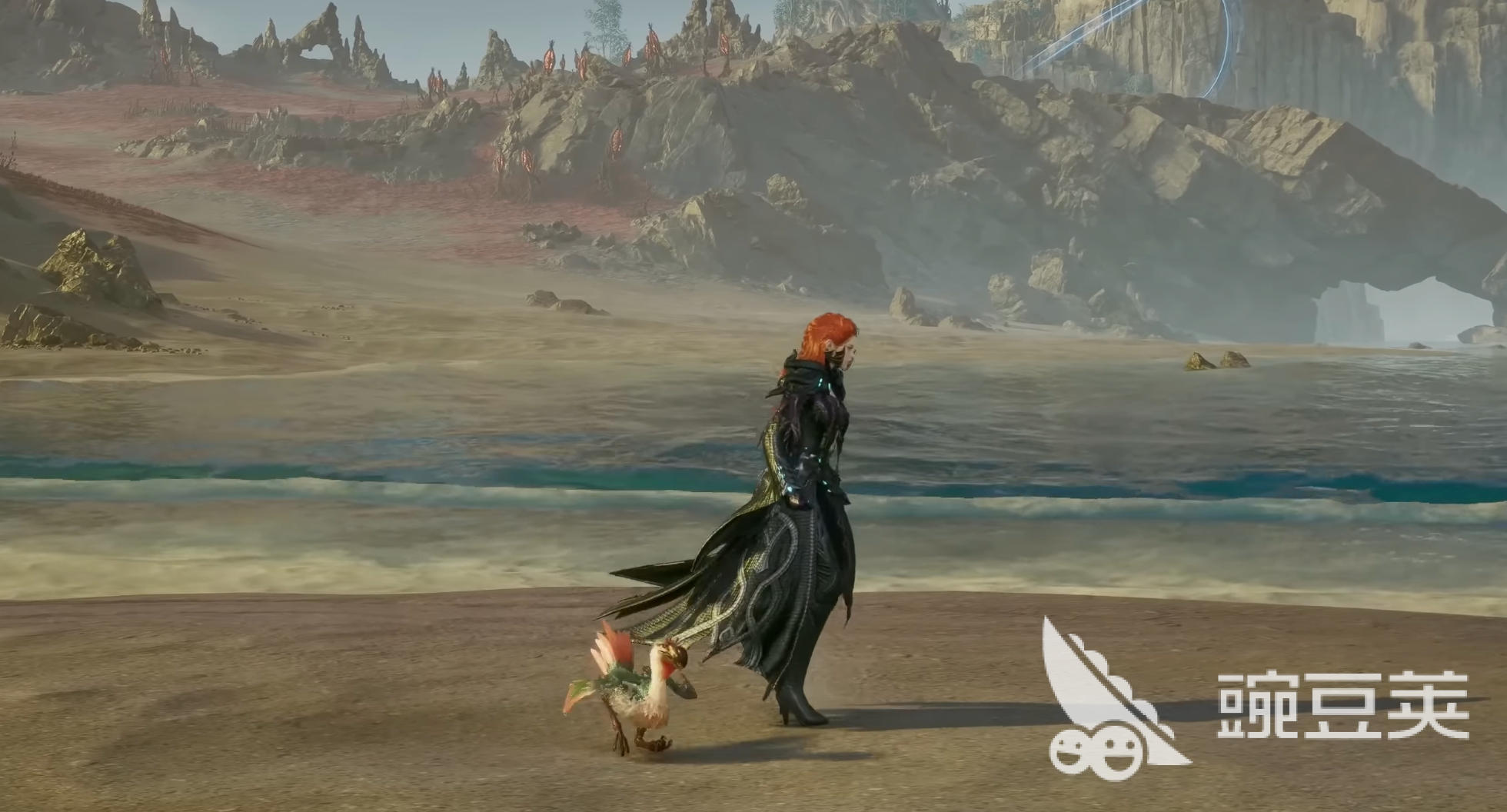 AION2宠物怎么获得 AION2宠物获取途径一览