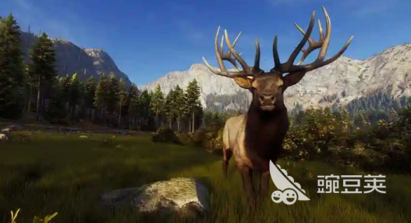 獵人之路白尾鹿在哪兒找 獵人之路白尾鹿找尋攻略