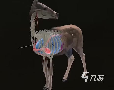 猎人之路手机版下载安装教程 猎人之路手游安卓下载地址