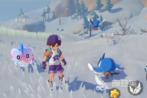 洛克王國世界冬羽雀多少級進化 洛克王國世界冬羽雀進化攻略