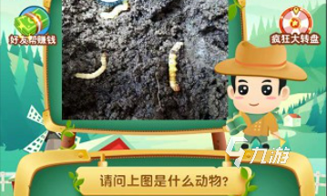 猜动物游戏有哪些 2025最受欢迎的猜动物游戏推荐