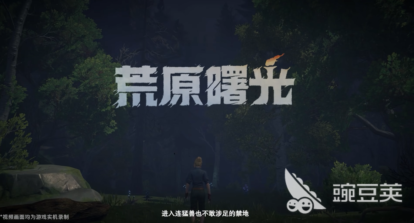 荒原曙光是单机游戏吗 荒原曙光游戏类型分享