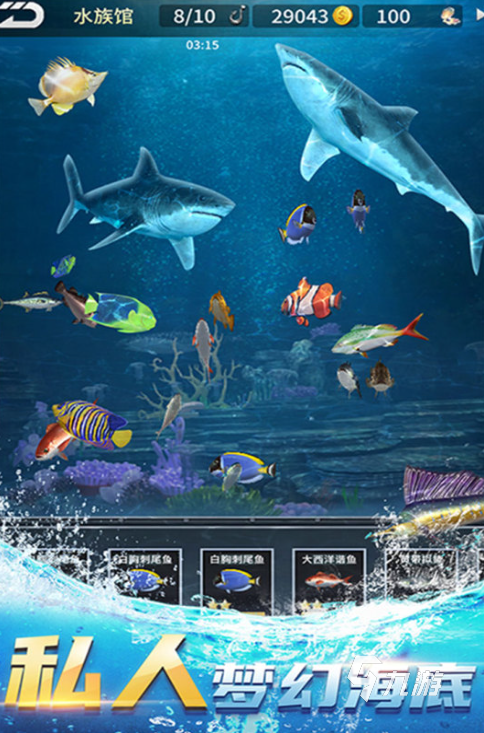 流行的小猫钓鱼游戏排行2025 耐玩的小猫钓鱼游戏top5