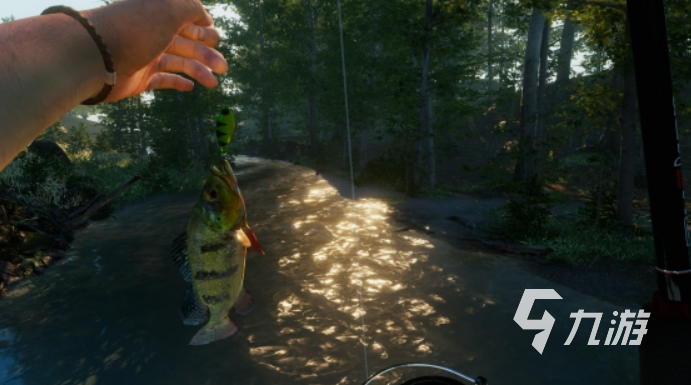 十大经典钓鱼游戏有哪些 2025年最受欢迎的十大经典钓鱼游戏推荐