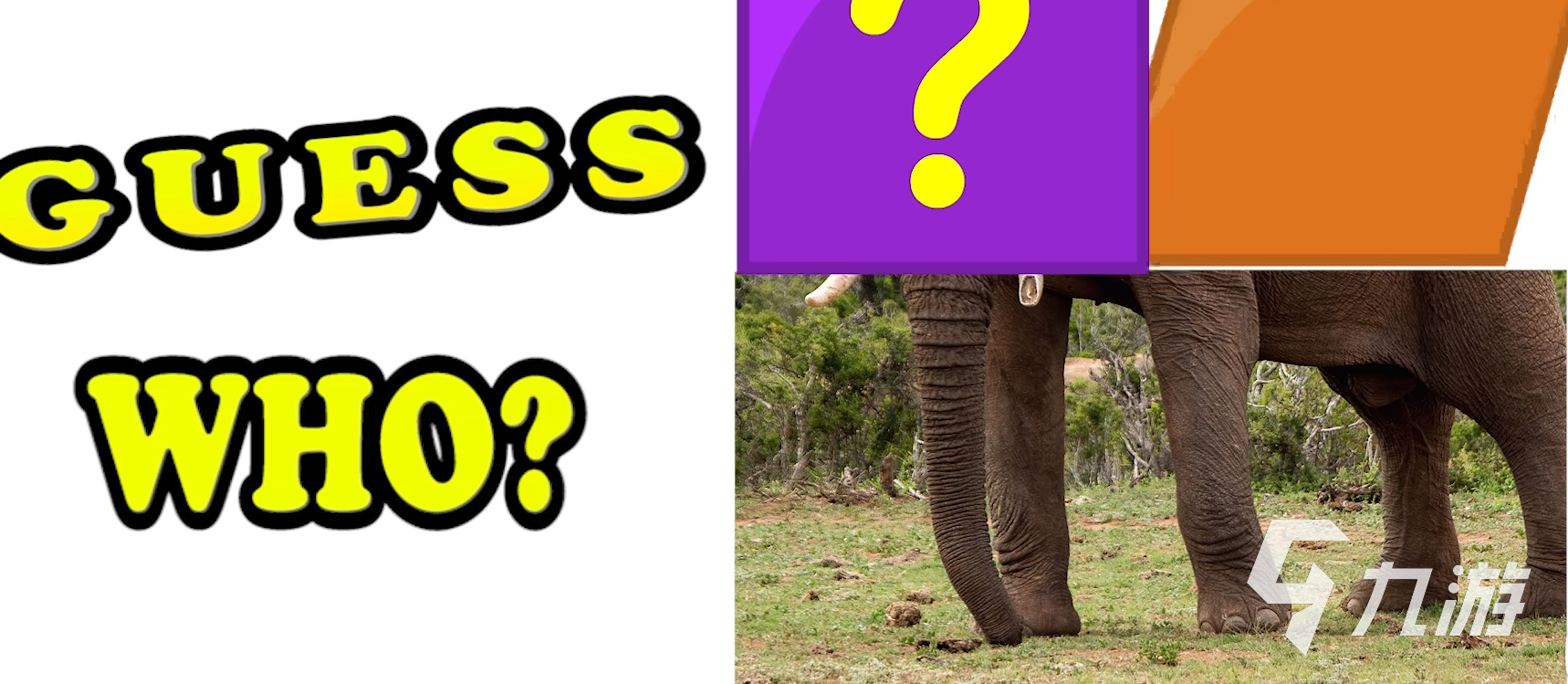 猜动物游戏有哪些 2025最受欢迎的猜动物游戏推荐