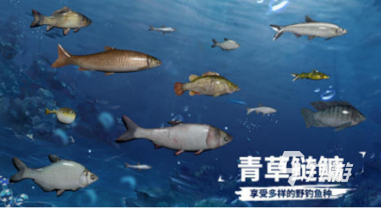 受欢迎的游戏鱼有哪些2025耐玩的小鱼手游排名
