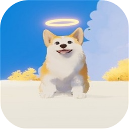 我的小柯基加速器