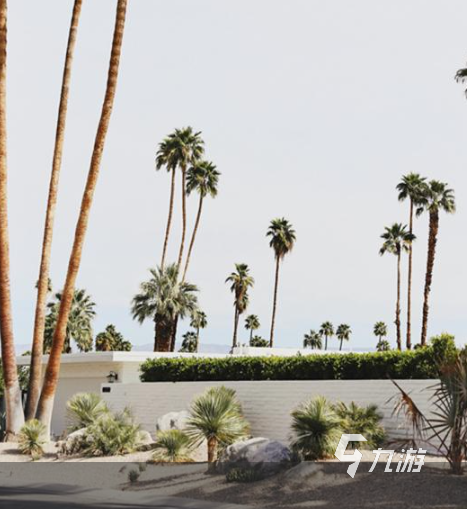 2025年最受欢迎的末日生存游戏推荐：精选好玩的末世题材手游下载合集