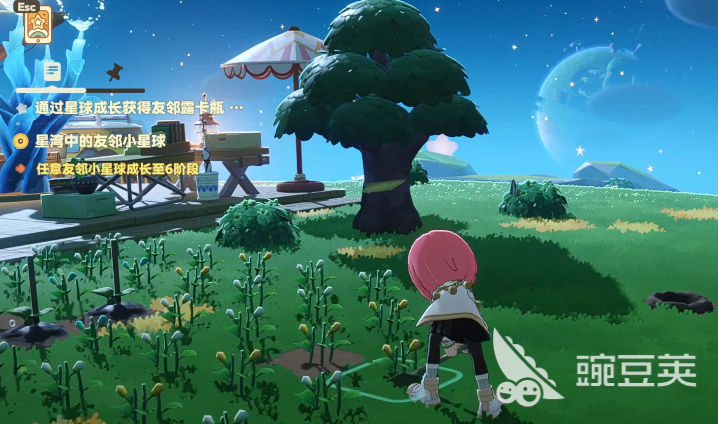 星布谷地建造攻略 星布谷地怎么建造