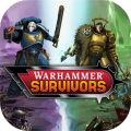 战锤幸存者加速器