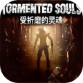 受折磨的灵魂