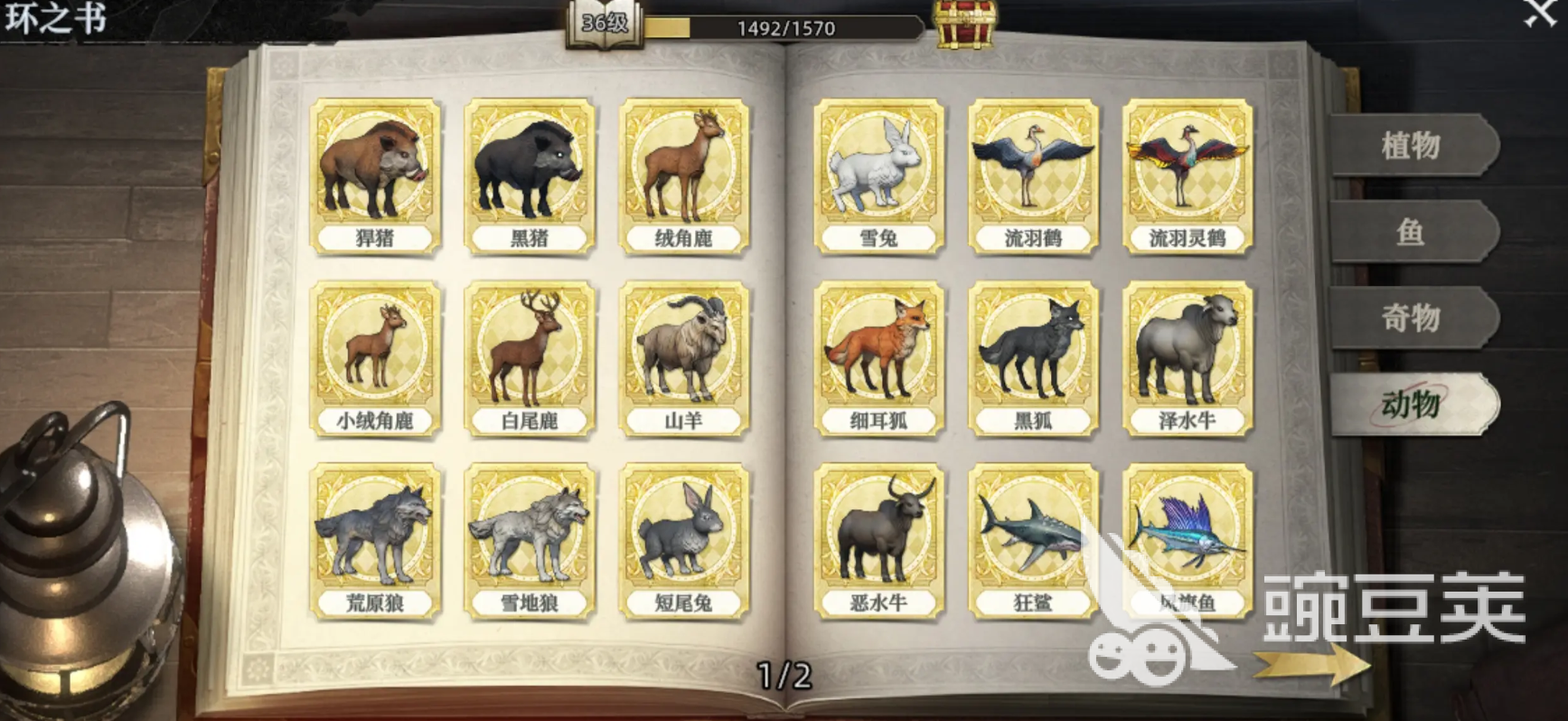 荒原曙光手游怎样开启宠物界面 荒原曙光手游宠物有哪些