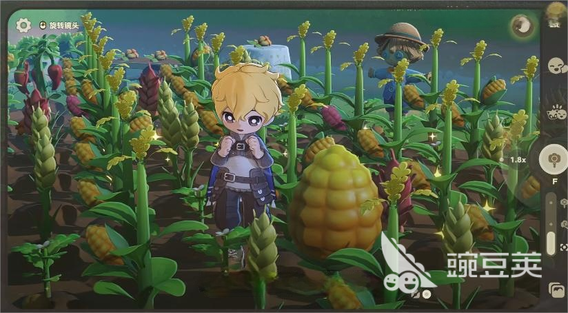 星布谷地变异果实如何获取 星布谷地变异果实收集攻略