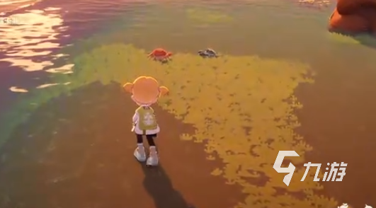 星布谷地螃蟹捕捉技巧全攻略：轻松掌握高效捕蟹方法