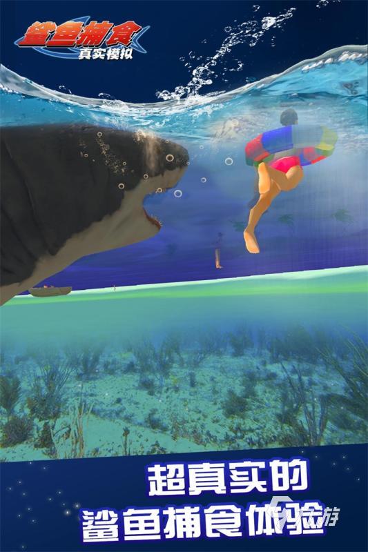 2025好玩的鲨鱼小游戏推荐 热门的鲨鱼小游戏合集分享