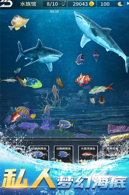 有哪些游戏不用网络也可以玩 2025人气高的单机游戏top5