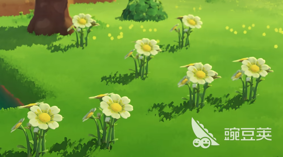 星布谷地开荒指南介绍 星布谷地如何开荒