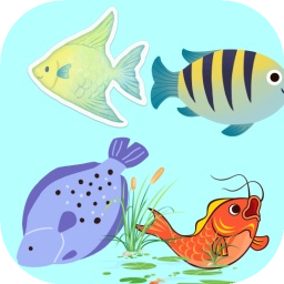 鱼鱼快逃离加速器