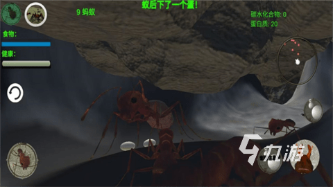 2025热门动物世界游戏推荐 精选好玩的模拟经营与冒险佳作