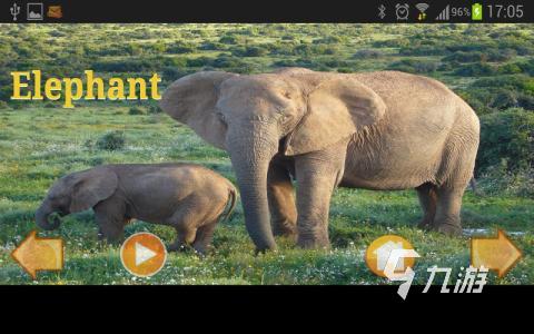 2025热门动物世界游戏推荐 精选好玩的模拟经营与冒险佳作