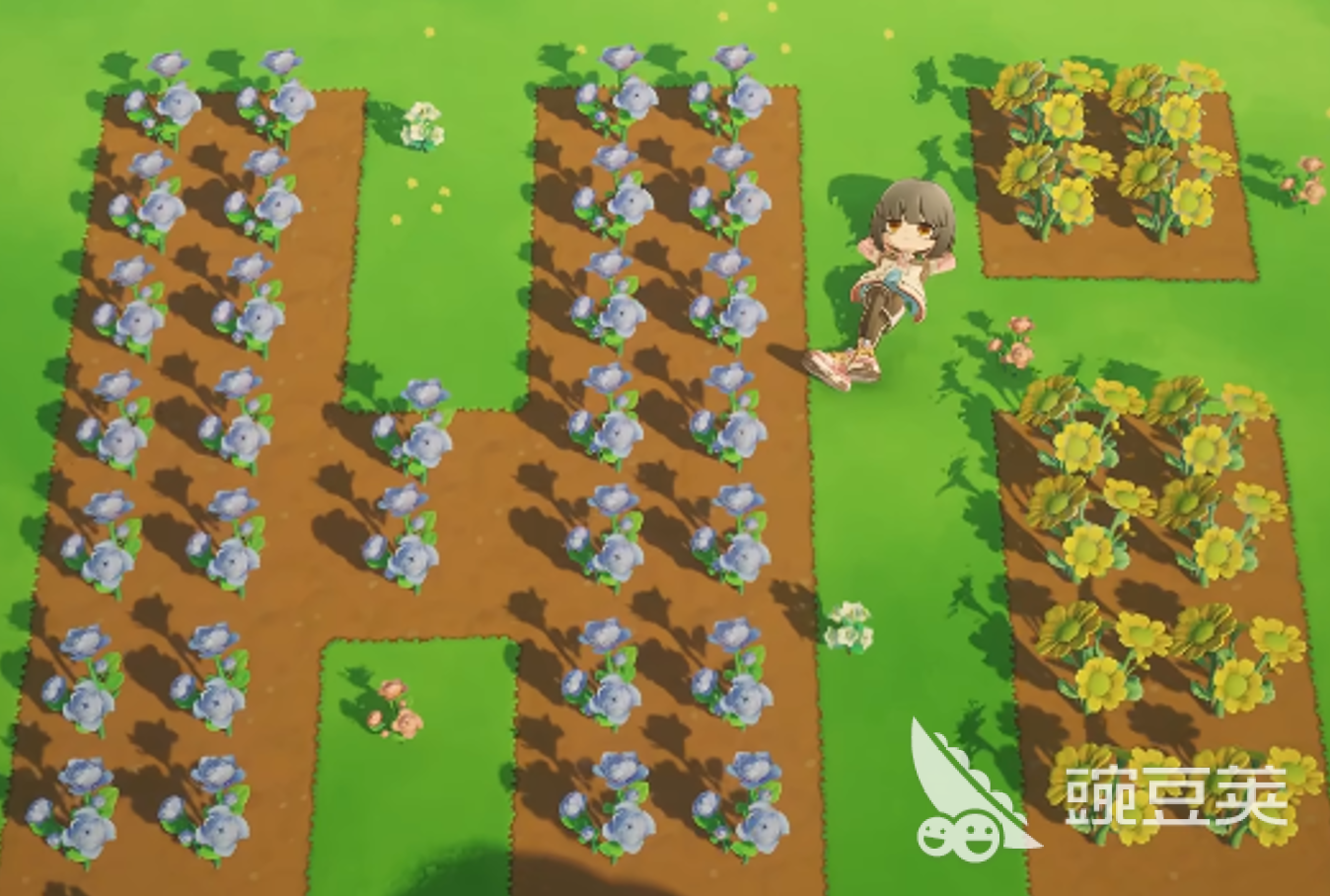 星布谷地联机种田方法有哪些 星布谷地联机种田攻略